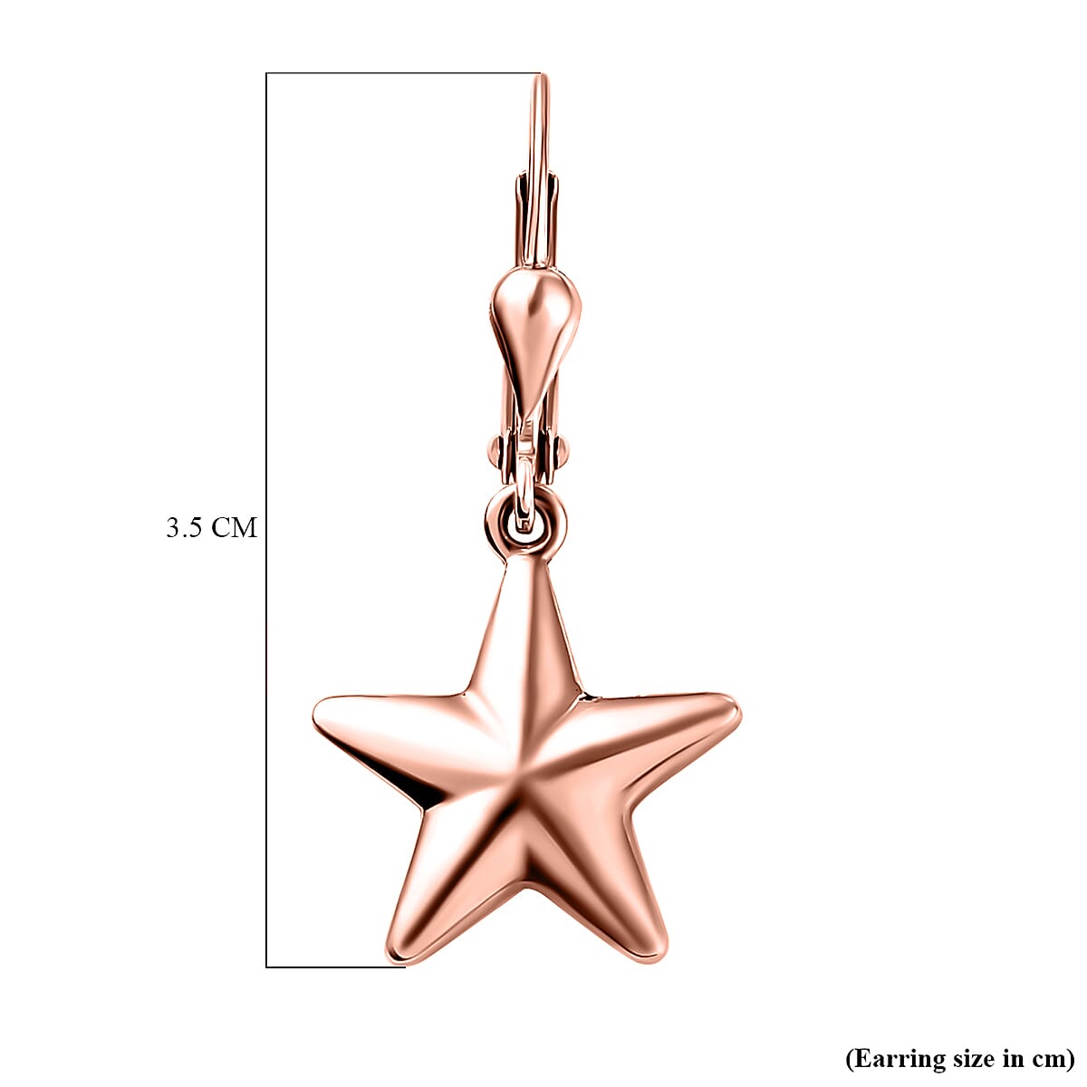 Star Lever Back Earrings in Sterling Silver with 18K Vermeil Rose Gold V32583063 6