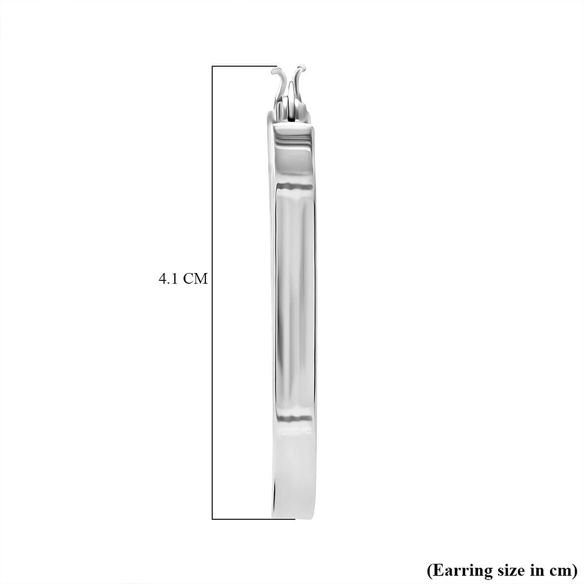 Sterling Silver Earring with Clasp, Silver Wt.5.56 Gms. 8194349 4