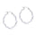 Large Hoop Earrings