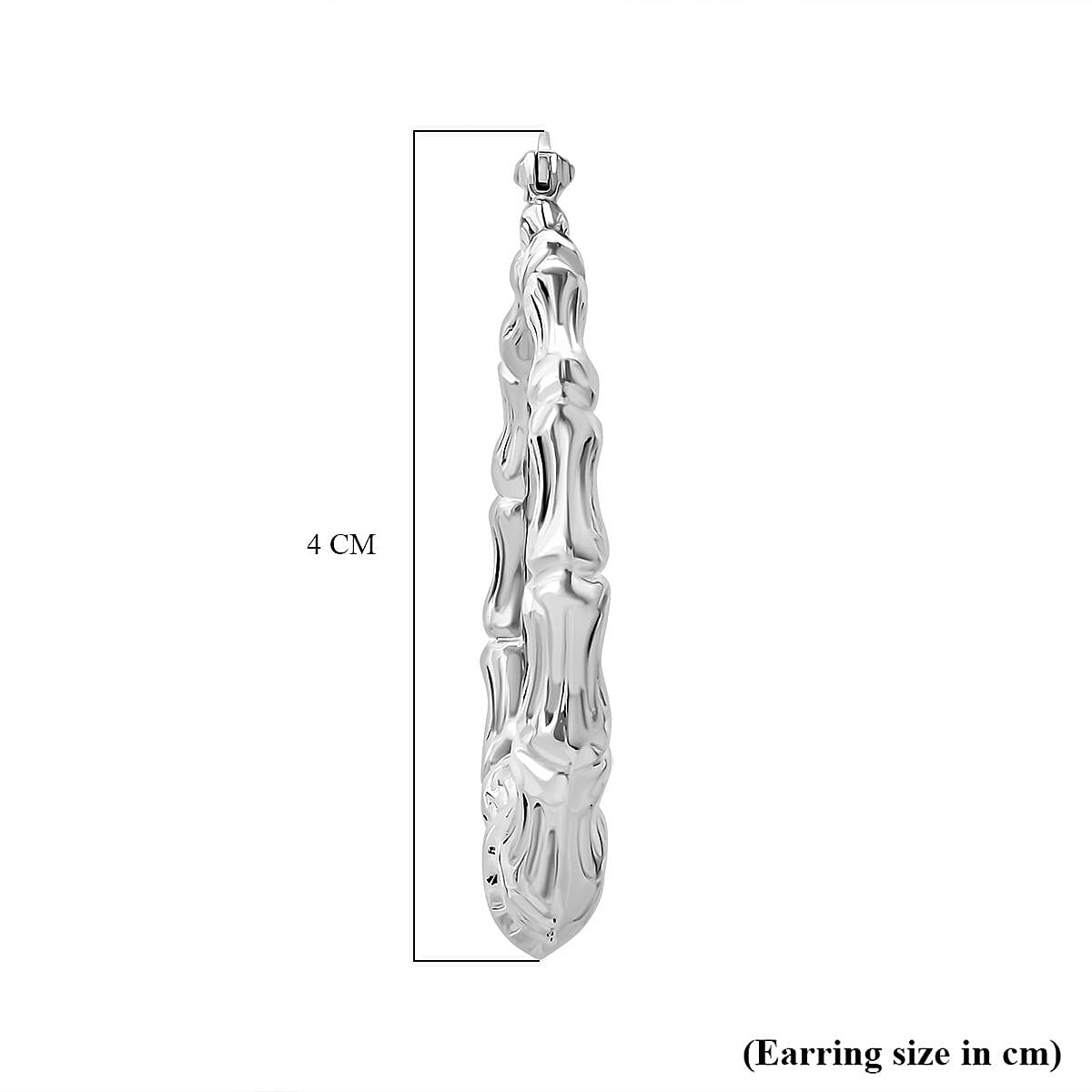 Sterling Silver Earring with Clasp, Silver Wt.7.30 Gms 8194299 4