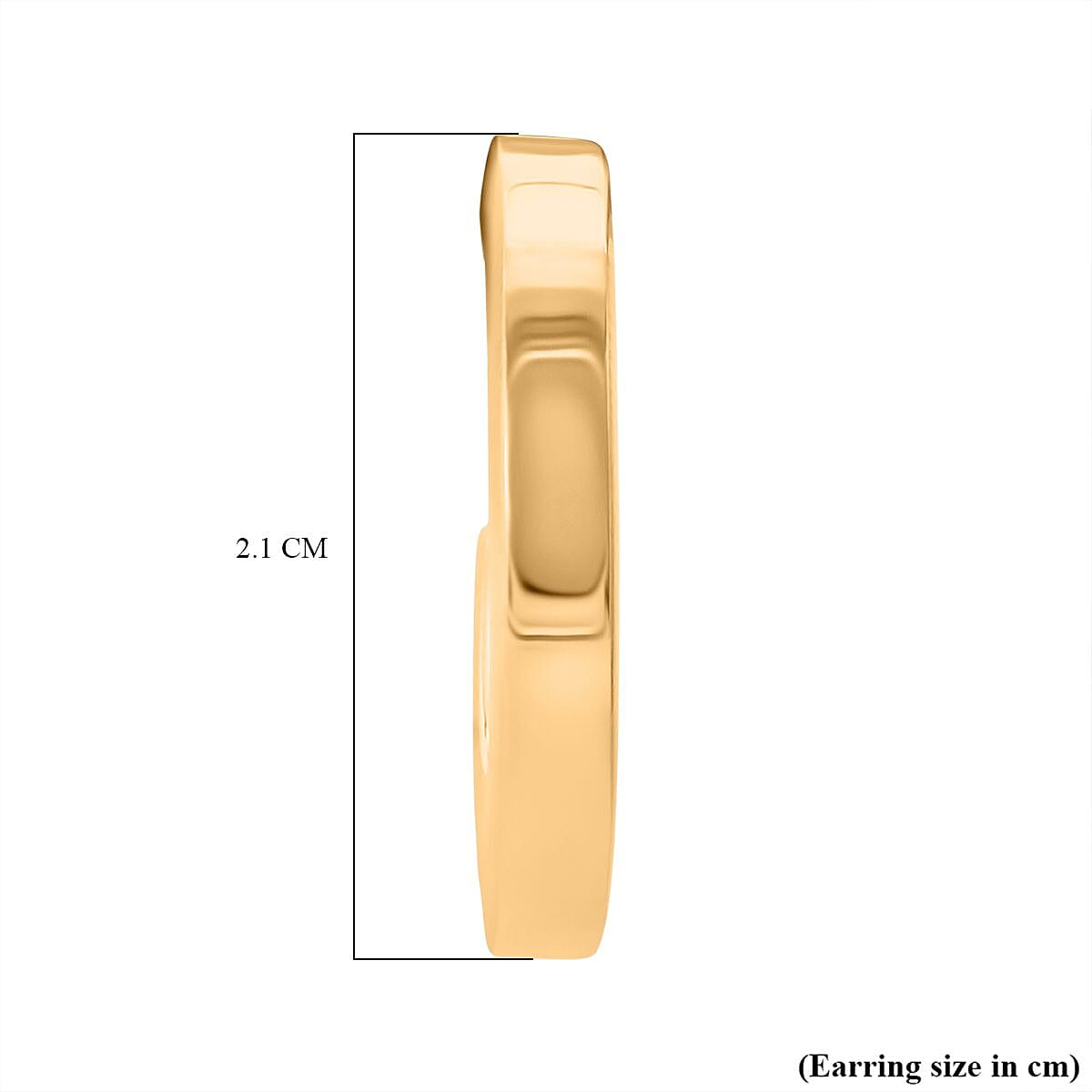 Close Out Deal Sterling Silver Earring with Push Back in Yellow Gold Plating 8194262 10