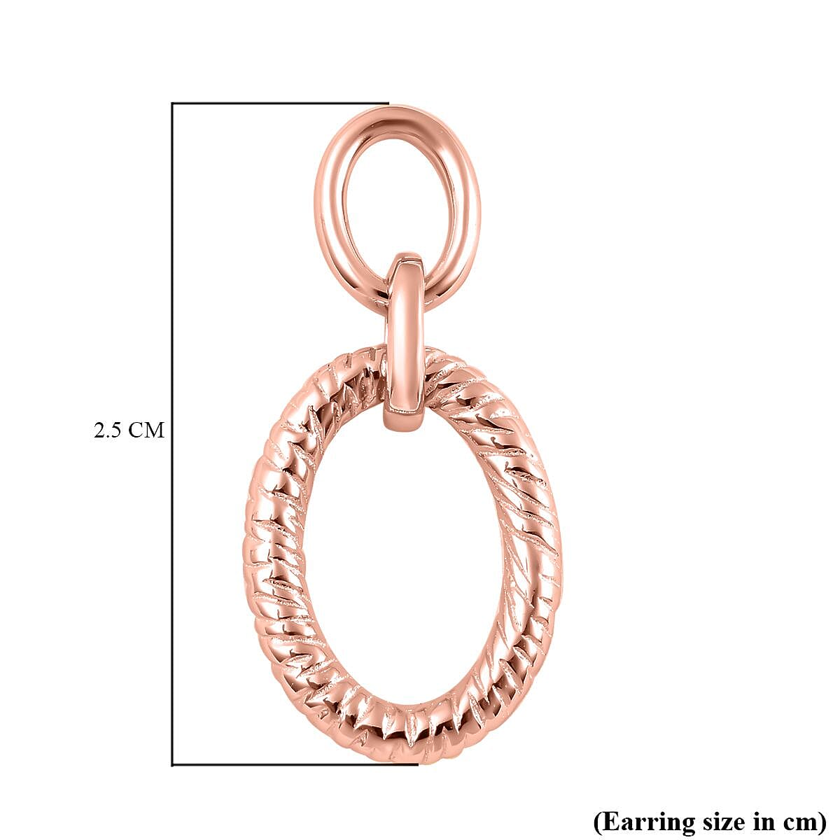 Sterling Silver Earring 3861327 4