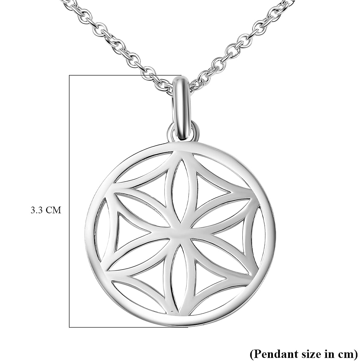 Sterling Silver Daisy Disc Pendant with Chain (Size - 18-20), Silver Wt. 6.9 Gms 7709125 4