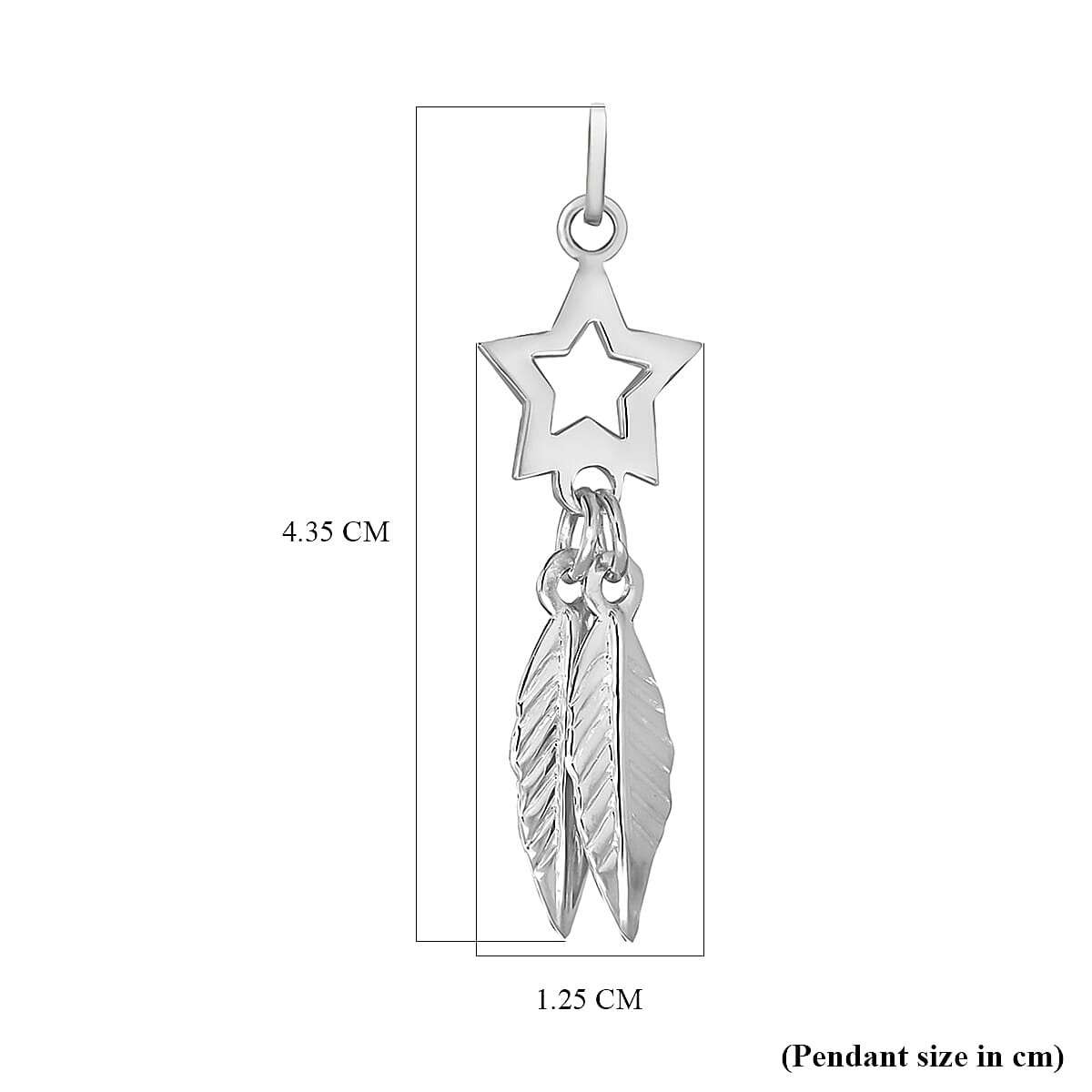 Sterling Silver Star and Leafs Pendant 7754012 1