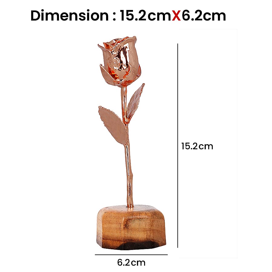 Handcrafted Decorative Gift Article Real Rose with Yellow Gold Tone (15.2 x 6.2 Cm) in Box and Stand 7906111 4