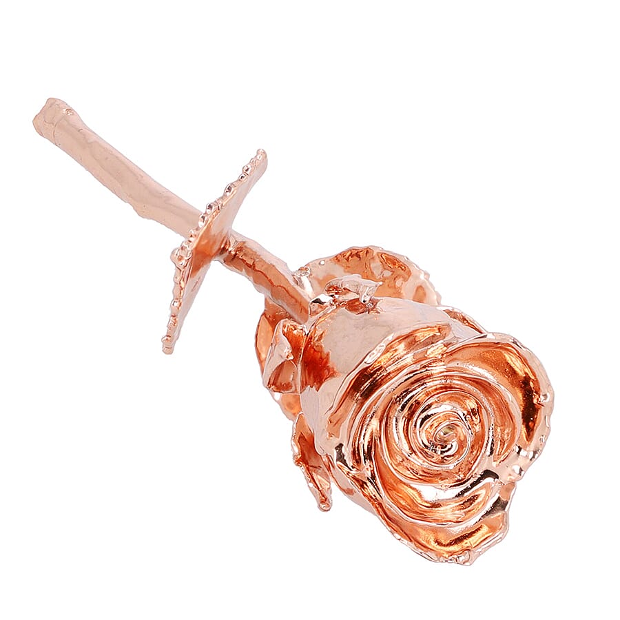 Handcrafted Decorative Gift Article Real Rose with Yellow Gold Tone (15.2 x 6.2 Cm) in Box and Stand 7906111 6