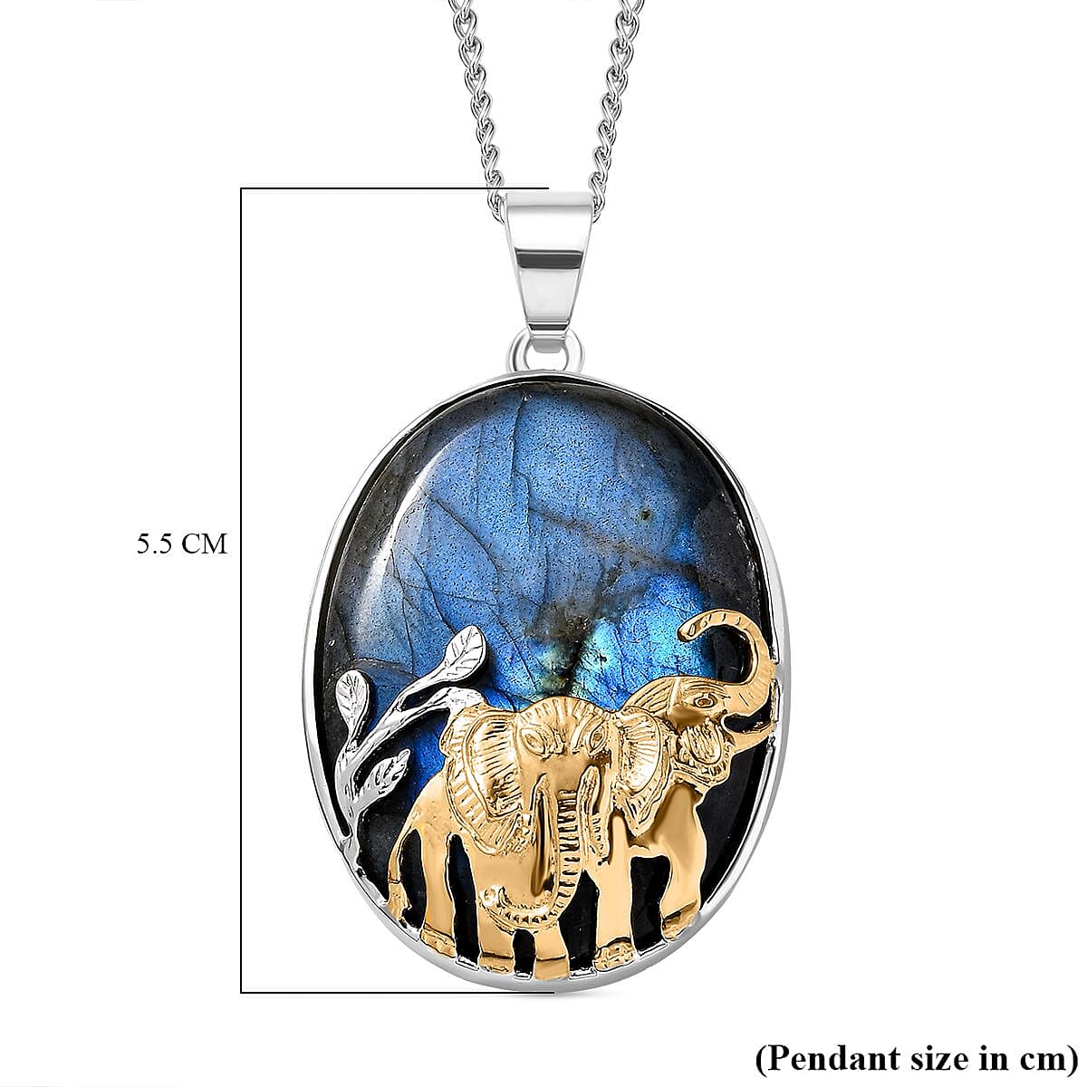 Lapis Lazuli Pendant with Curb Chain (Size 20) in Platinum and 18K Vermeil Yellow Gold Plated Sterling Silver 4233935 7