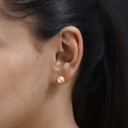 18K Yellow Gold AAA Golden South Sea Pearl Earrings