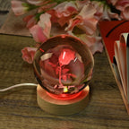 Laser Etched Rose Crystal Ball with Wood Base & Color Changing LED Lights