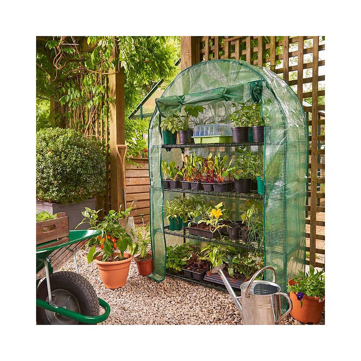 GROW IT Premium 4 Tier Extra Wide Growhouse - Green 7725866 2
