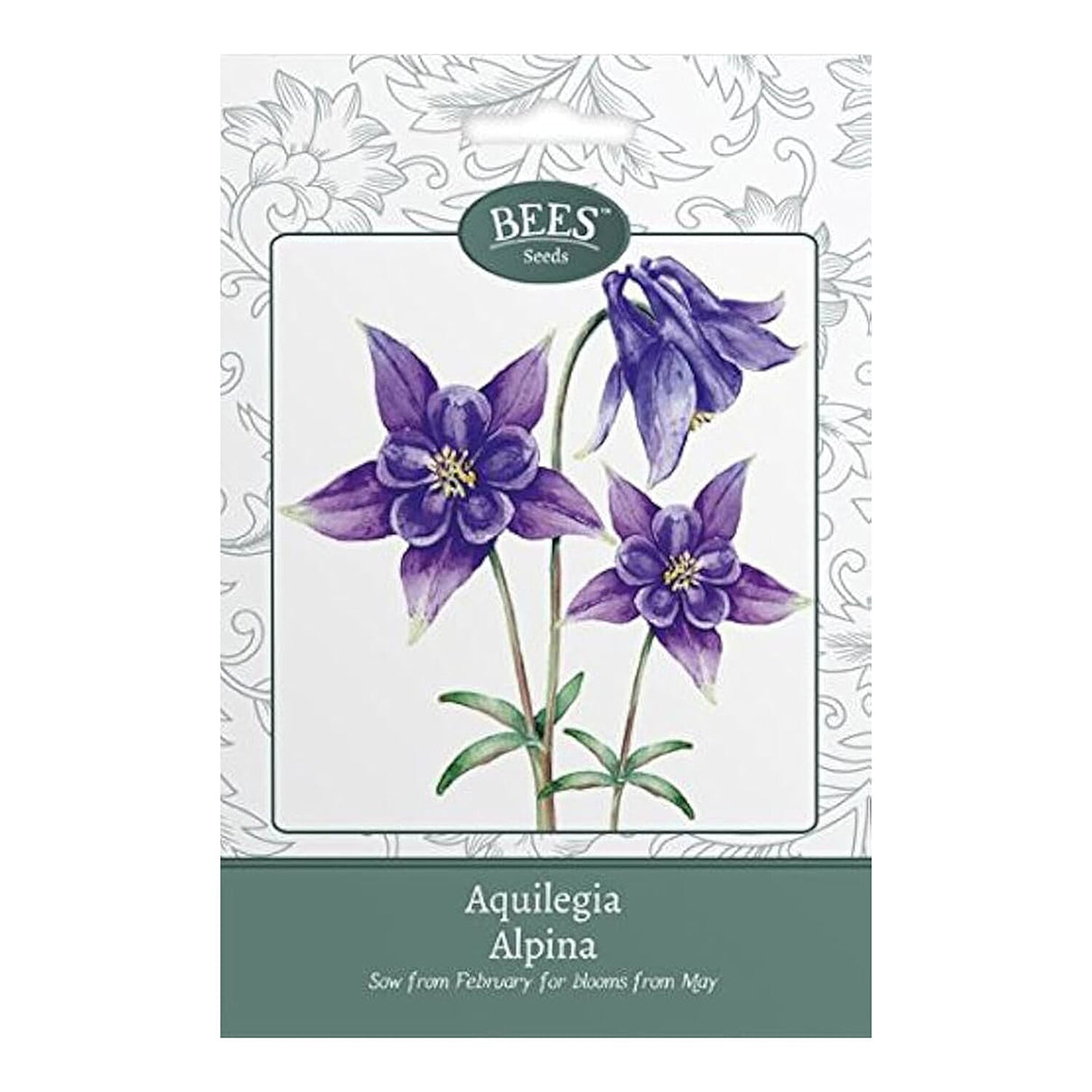 BEES Aquilegia Alpina (Sow by End 2027) - Dark purple 8477412 0
