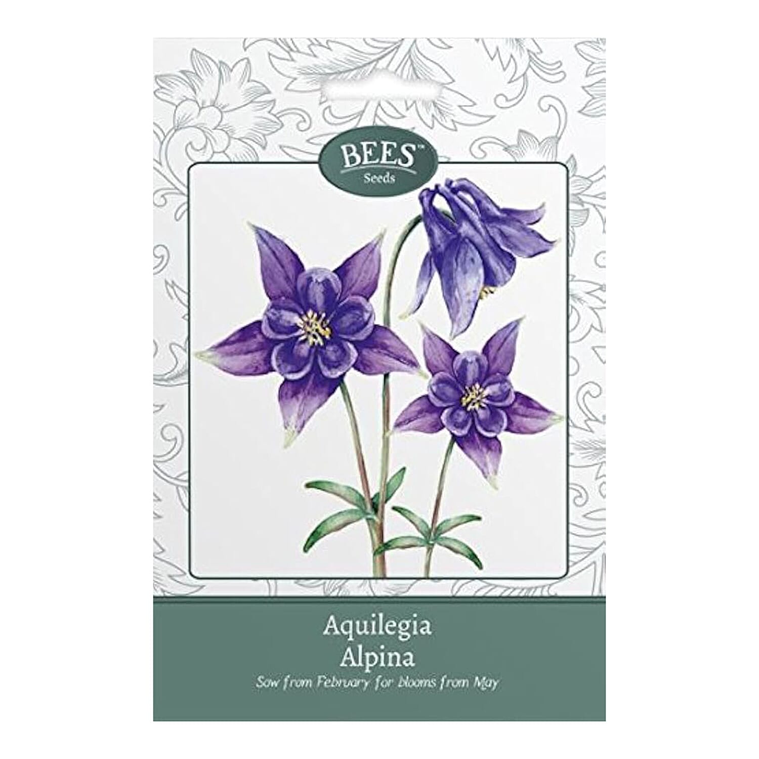 BEES Aquilegia Alpina (Sow by End 2027) - Dark purple 8477412 0
