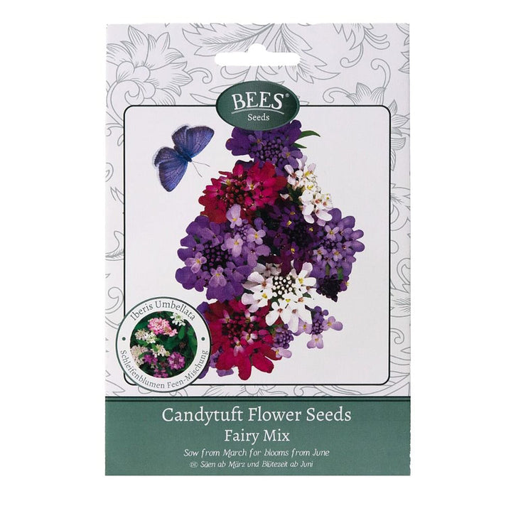 BEES Candytuft Fairy Mixture - Magenta V32368193 1