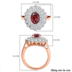18K VERMEIL ROSE GOLD PLATED Tanzanian Wine Garnet                   OVAL Ring Ct 2.50.