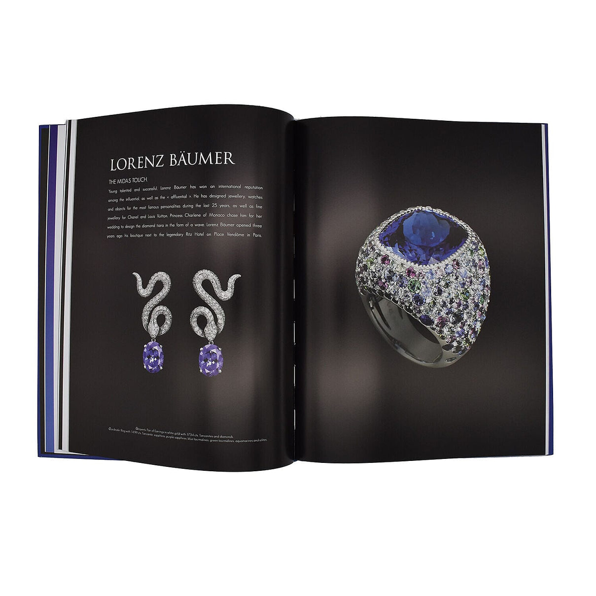Tanzanite-Born from Lightning Book 6073039 4