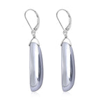 Terahertz Drop Earrings in Stainless Steel