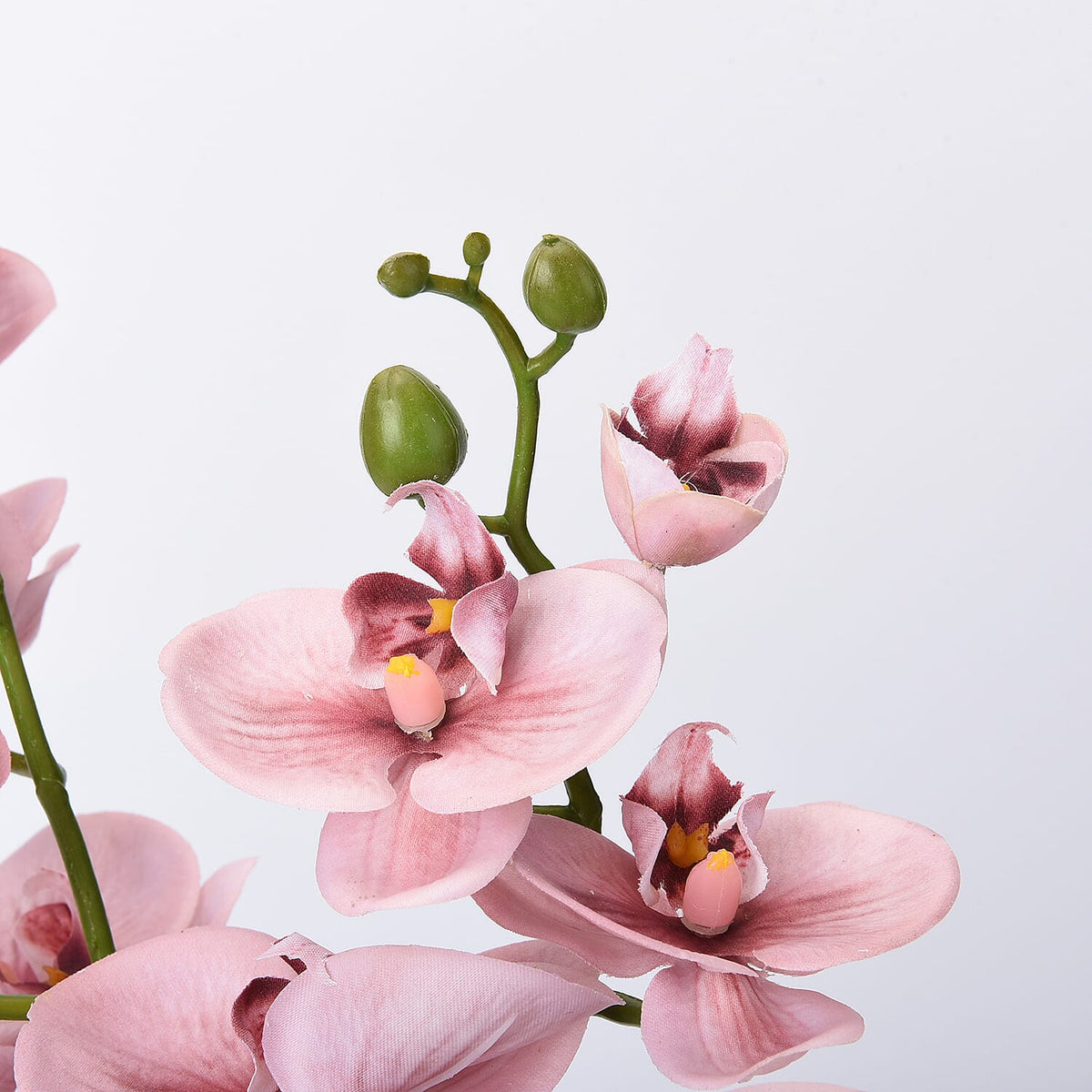 The 5th Season Butterfly Orchid Flowers Arrangement with Vase - Pink 6259954 1
