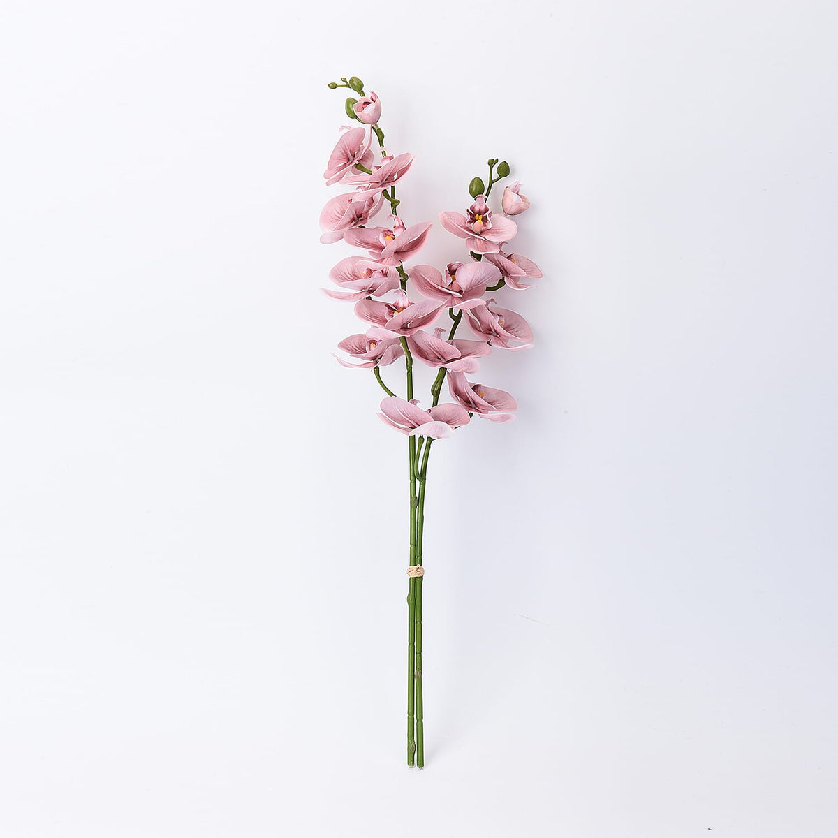 The 5th Season Butterfly Orchid Flowers Arrangement with Vase - Pink 6259954 2