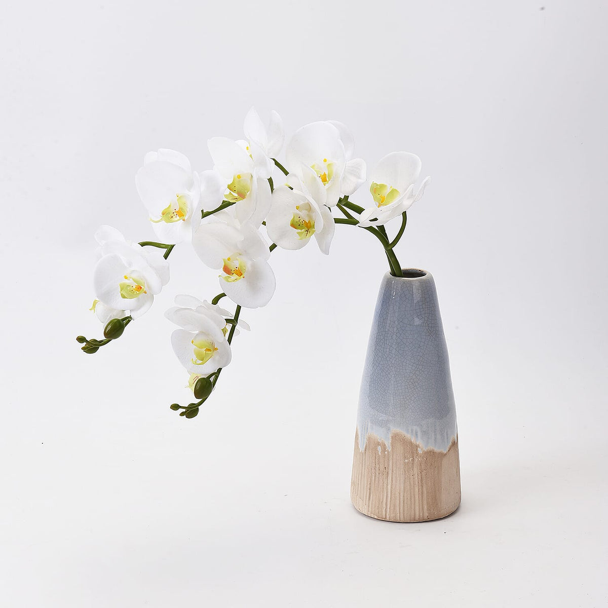 The 5th Season Butterfly Orchid Flowers Arrangement with Vase - White 6259956 0