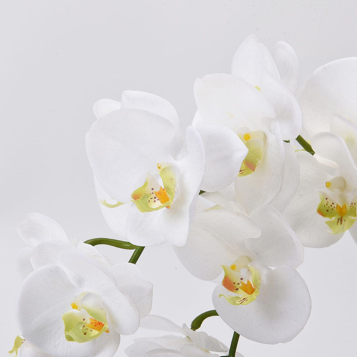 The 5th Season Butterfly Orchid Flowers Arrangement with Vase - White 6259956 3