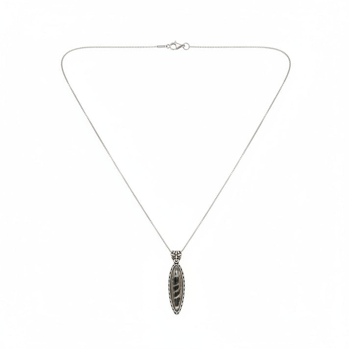 The Artefact Collection-Orthoceras Fossil Pendant in Silver Tone 8184359 1