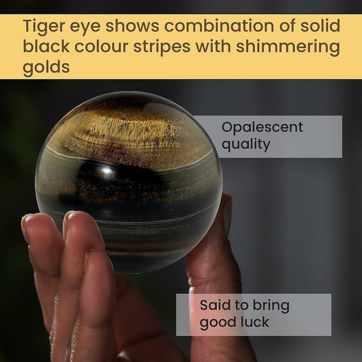 Tucson Find - Tiger Eye Gemstone Sphere 1700.00 Ct 7199559 4