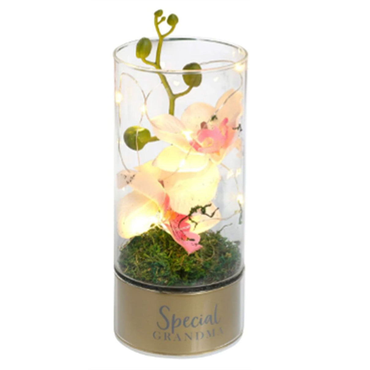 Orchid Flowers &amp; LED Light Display 8178434 0