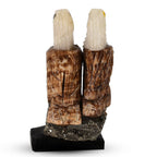 Accessory Set (Size 5x1x9 cm) - Brown