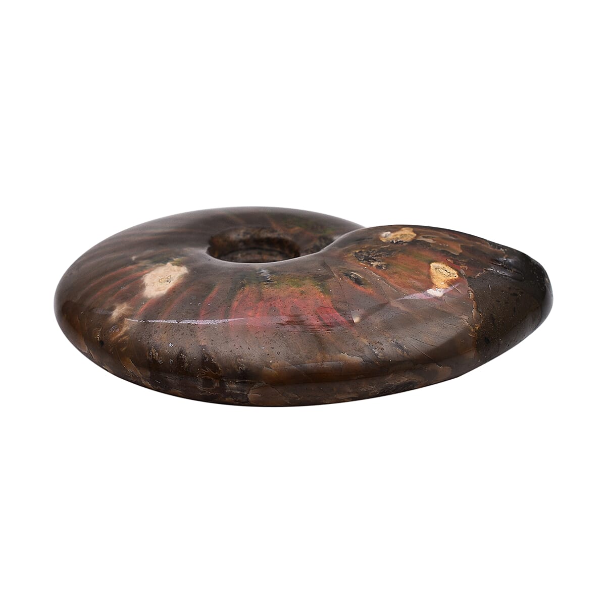 Tucson Rare Finds - Natural Red Opalized Ammonite Figurine - 1250 Ct. 4006189 3