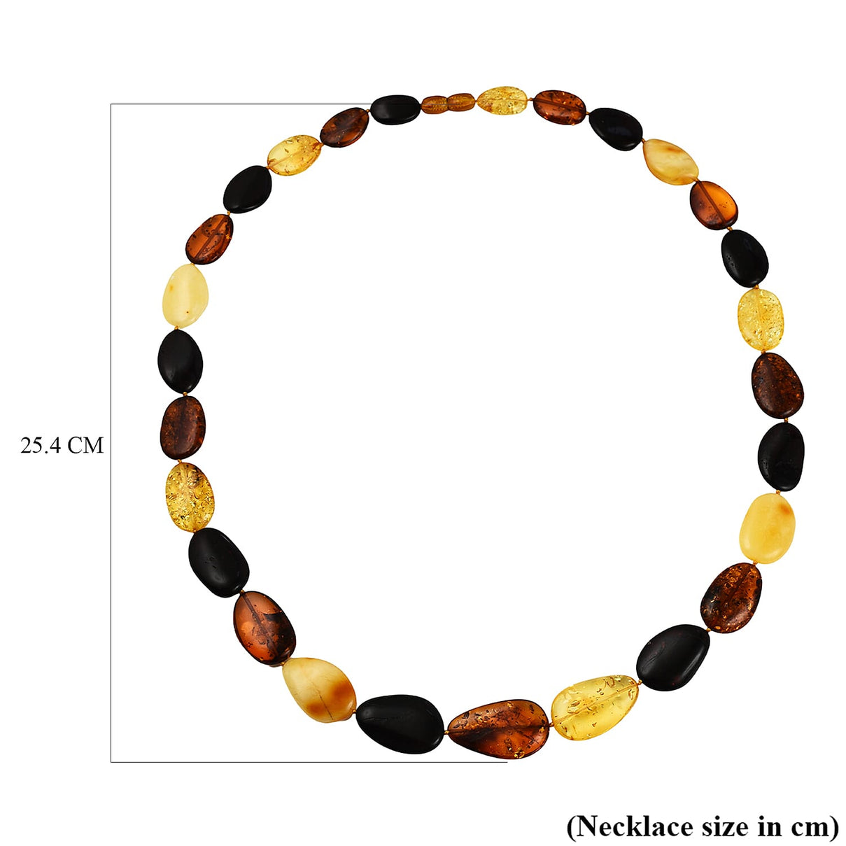 Tucson Special - Natural Multi Colour Baltic Amber Coin Link Necklace (Size 28) in Sterling Silver 7673137 3