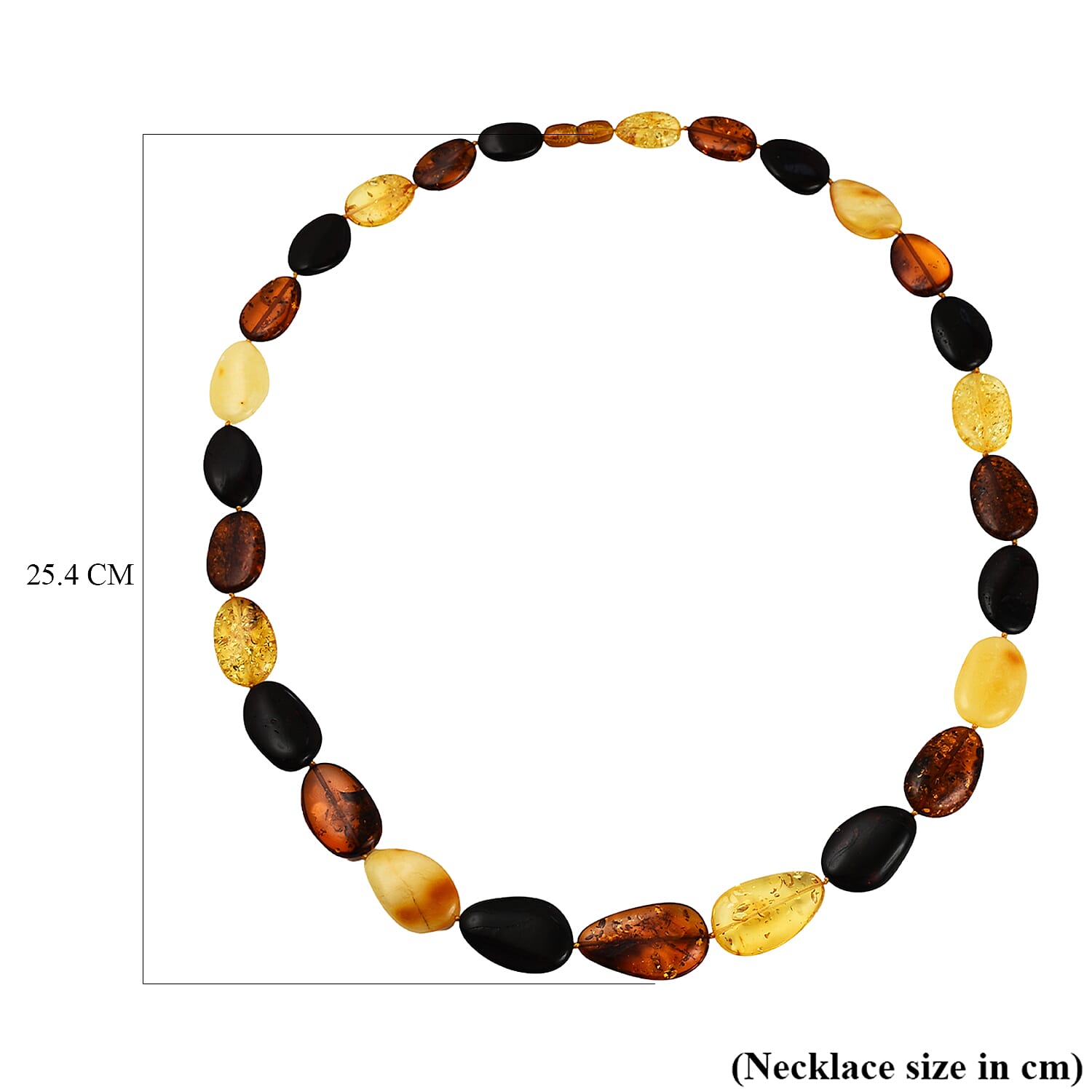 Tucson Special - Natural Multi Colour Baltic Amber Coin Link Necklace (Size 28) in Sterling Silver 7673137 3