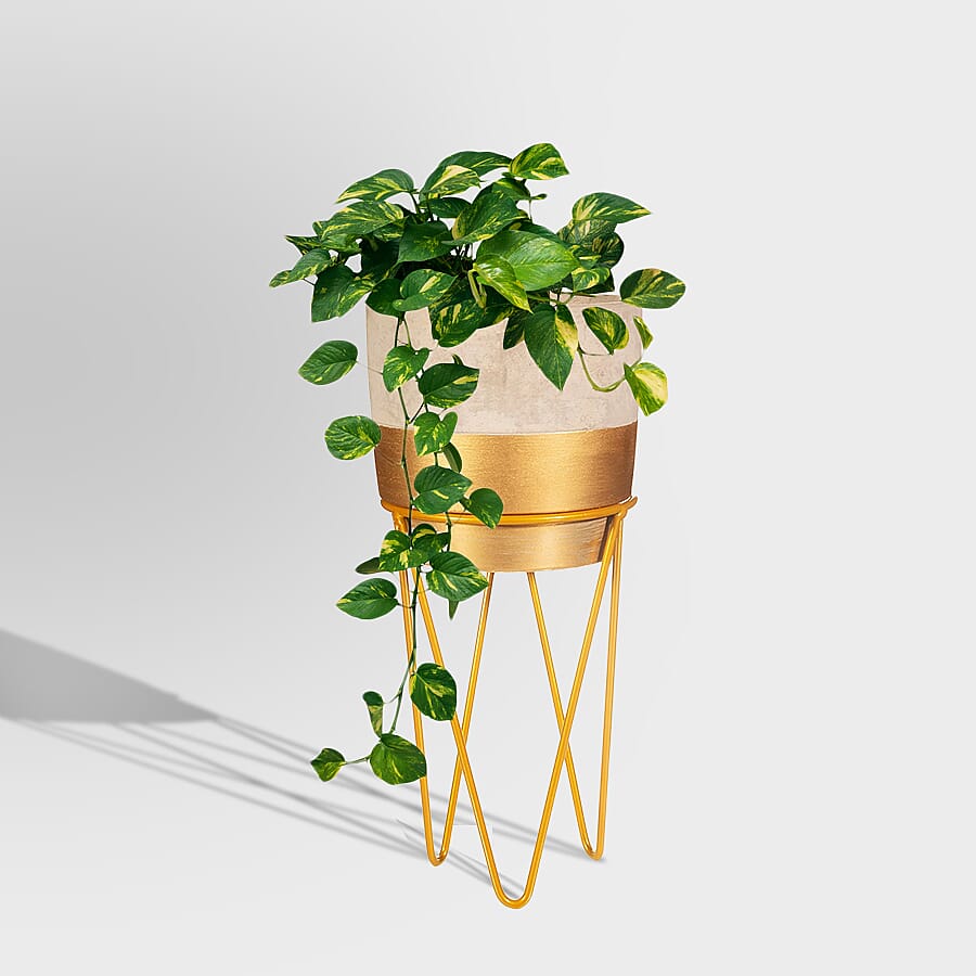 Tuva Gold Dip Planter with Wire Stand - Gold 7164309 3