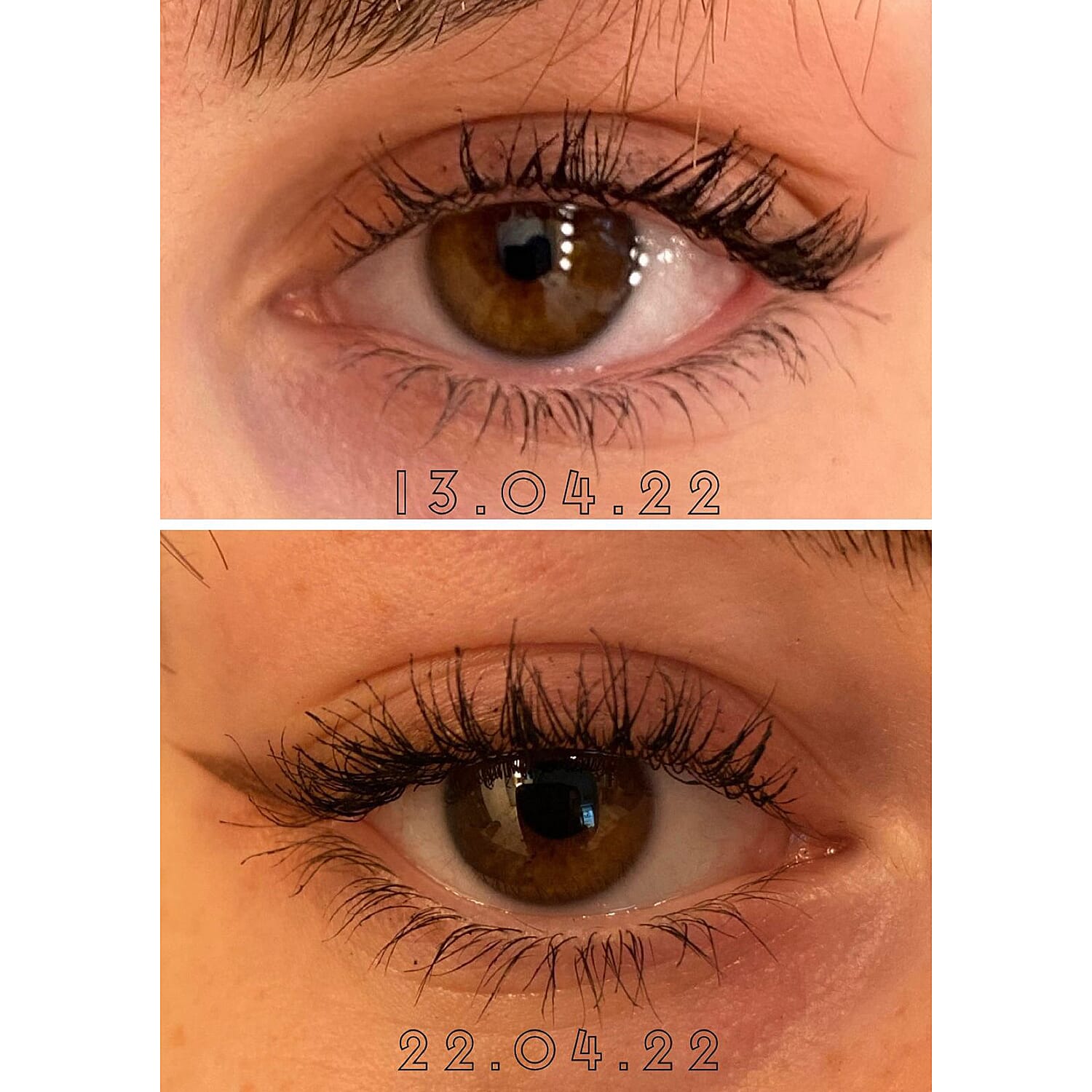 UNIQLASH- Brows &amp; Lash Growth Serum - 4ml 7128949 6