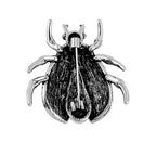 Austrian Crystal Beetle Brooch