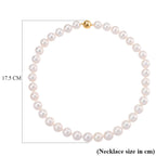 Limited Edition- AAAA Rare Size Edison Pearl  in Yellow Gold Plating Necklace (Size 20) with Magnetic Clasp 465.00 Ct.