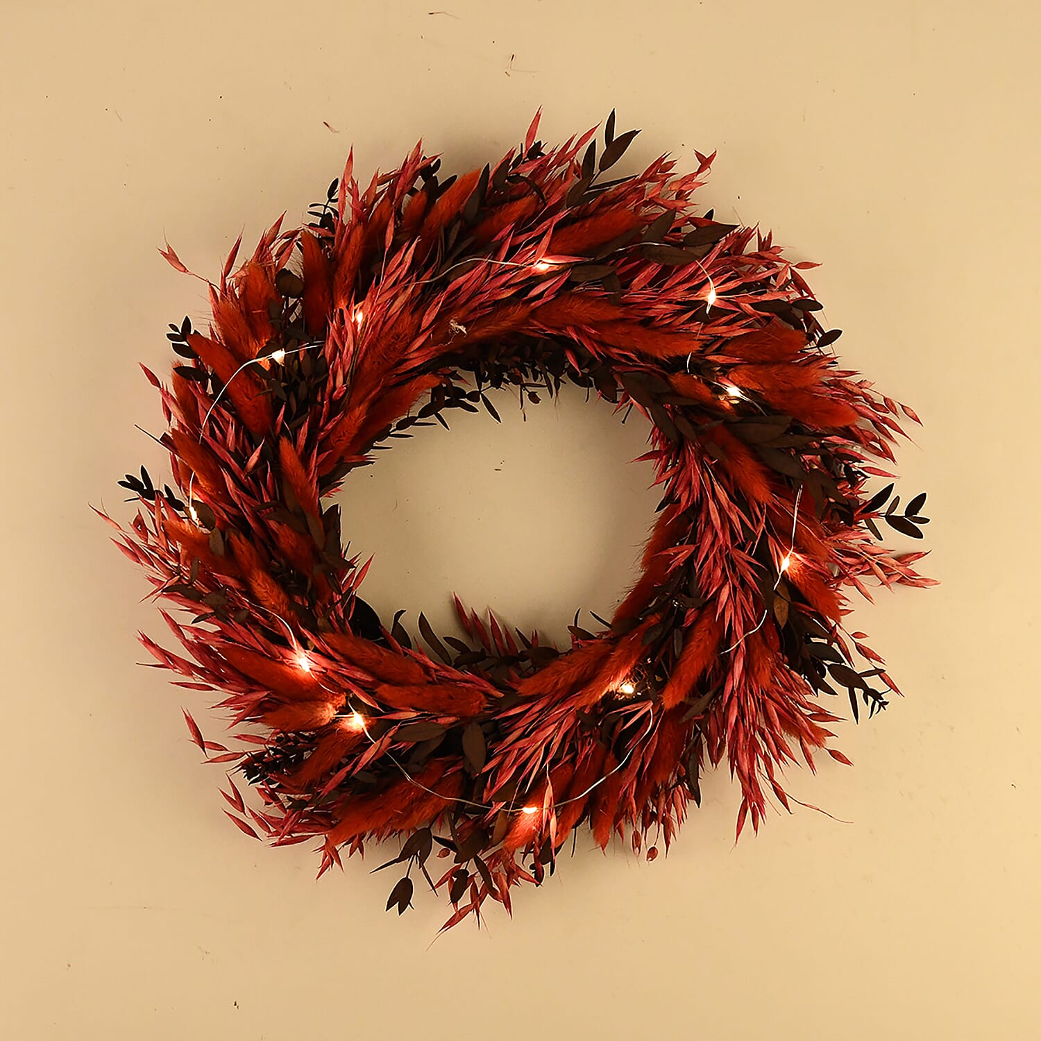 Natural Dried Plant Wreath with LED Light (One Size) - Multicolour 8195715 2