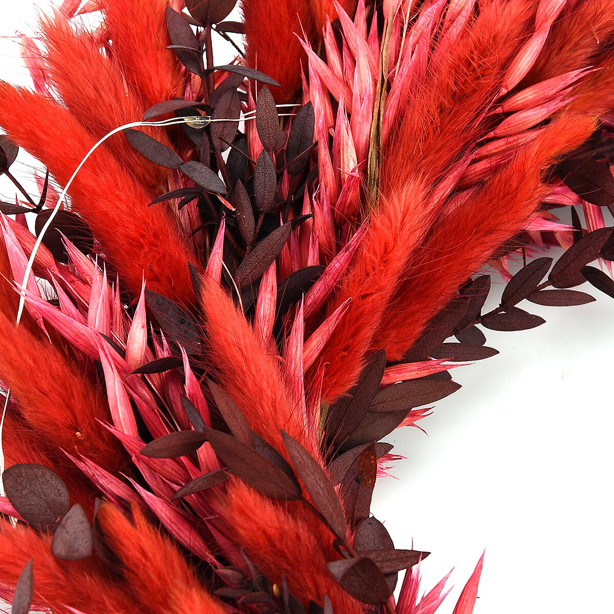 Natural Dried Plant Wreath with LED Light (One Size) - Multicolour 8195715 5