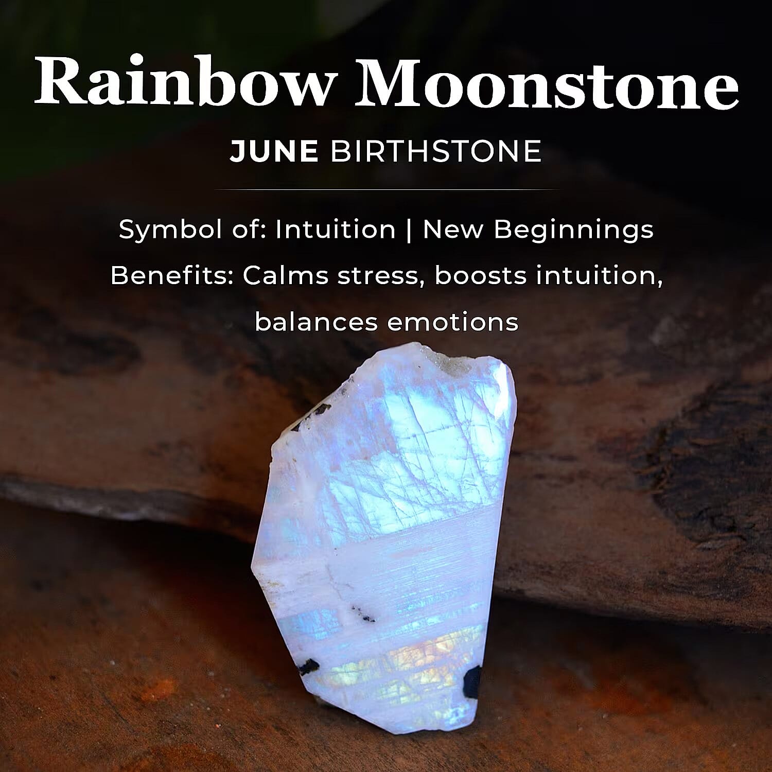 Rainbow Moonstone June Birthstone Solitaire Ring in 18K Vermeil Yellow Gold Plated Sterling Silver 7308089 6
