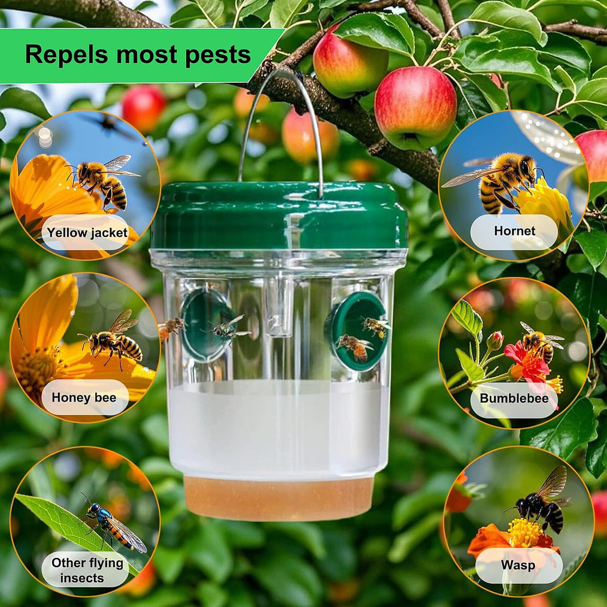 No More Wasps! - 3 Solar Wasp Traps for Garden Use - LED Light - Double Entrance - 6-8 Hr Working Time Green 8060834 3