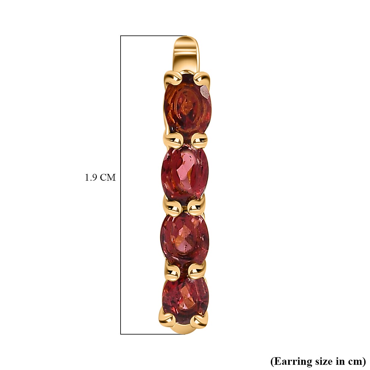 Garnet January Birthstone Hoop Earrings in Sterling Silver with 18K Vermeil Yellow Gold 8743527 8