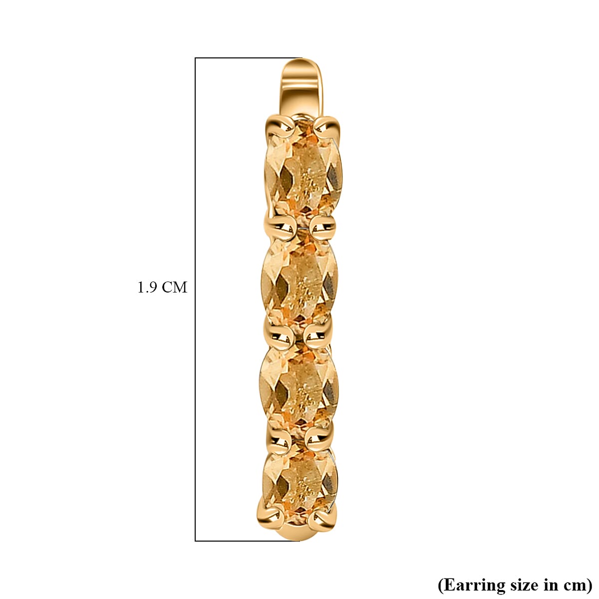 Citrine November Birthstone Hoop Earrings in Sterling Silver with 18K Vermeil Yellow Gold 8767564 8