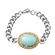 Amazonite and White Austrian Crystal Bracelet (Size - 8.0 Inch With Extender) Lobster Clasp in Stain
