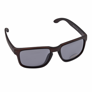 Wayfarer Sunglasses with Polycarbonate Lens - Brown
