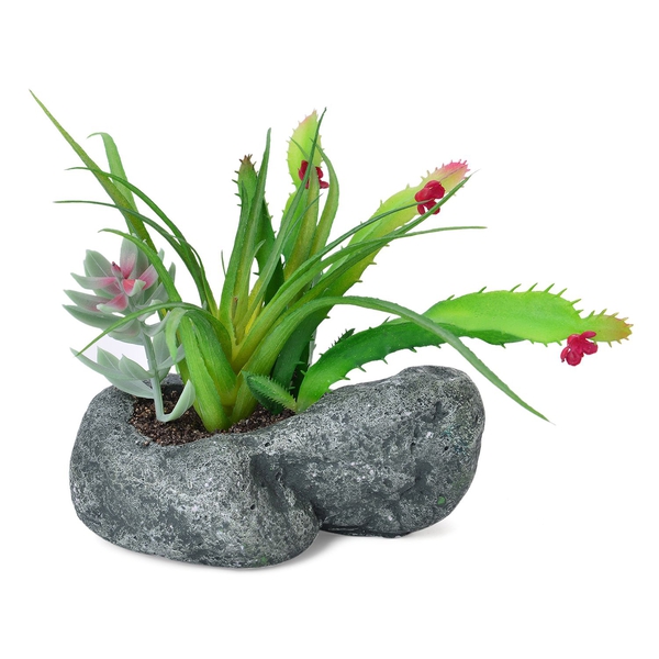 Home Decor - Artificial Cactus Plant with Flowers in Cement Pot (Size 13X10 Cm)