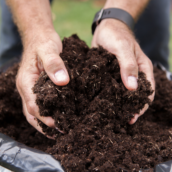 Gardening Direct 100L Premium Professional Compost & 100gms Fertiliser