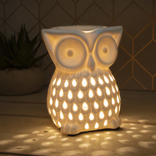 Lesser and Pavey Desire Oil Diffuser and Table Lamp (Size 14x12x16 cm) - Owl