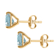 Paraibe Apatite Stud Earrings (With Push Back) in 14K Gold Overlay Sterling Silver 1.89 Ct.