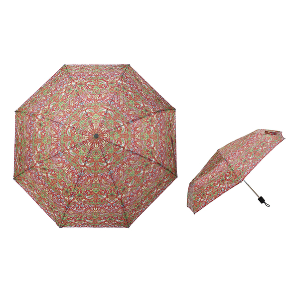 Lesser & Pavey Floral Pattern Folding Umbrella - Green