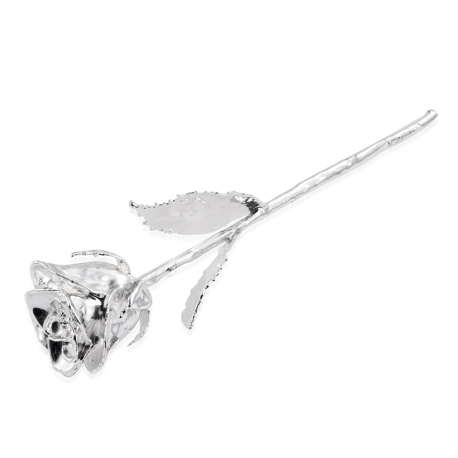 Silver Plated Eternal Rose (Size 15 Cm) in Silver Box (Size 23x8 Cm)