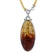 Natural Baltic Amber Pendant With Necklace (Size 22) in Sterling Silver, Silver Wt. 10.00 Gms